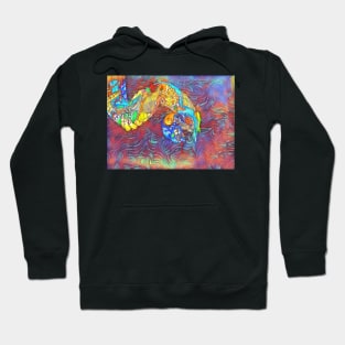 Python 2 Hoodie